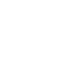 Портфолио